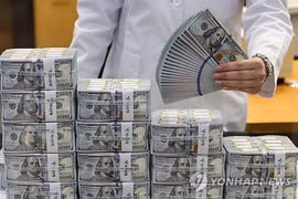 Một người kiểm tra đồng USD tại trụ sở của Ngân hàng Hana ở Seoul vào ngày 7/5 vừa qua. (Nguồn: Yonhap)