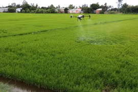 Sử dụng máy bay nông nghiệp phun thuốc chăm sóc lúa Thu Đông tại xã Tân Nghĩa, huyện Cao Lãnh (Đồng Tháp). (Ảnh: Nguyễn Văn Trí /TTXVN)