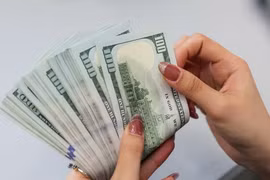 Tỷ giá giữa đồng VND và đồng USD đã quay đầu giảm. (Ảnh: Vietnam+)