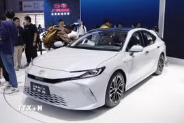(Ảnh minh họa: TTXVN)