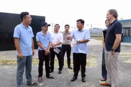 Ông Lê Trung Kiên, Trưởng Ban Quản lý Khu kinh tế Hải Phòng thăm hỏi các doanh nghiệp bị thiệt hại do bão số 3 gây ra. (Ảnh: Hoàng Ngọc/TTXVN)