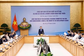 Phó Thủ tướng Trần Lưu Quang phát biểu. (Ảnh: Doãn Tấn/TTXVN)