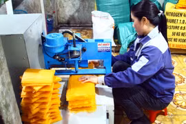Người dân dùng máy cắt bánh tráng Tân An để đóng gói sản phẩm. (Ảnh: Tá Chuyên/TTXVN)