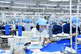 Không khí làm việc tại một doanh nghiệp may tại Đà Nẵng. (Ảnh: Vietnam+)
