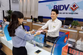Ảnh minh họa. (Nguồn: Vietnam+)