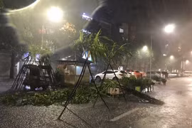 Ảnh minh họa. (Nguồn: PV/Vietnam+)