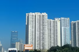 Ảnh minh họa. (Nguồn: Hùng Võ/Vietnam+)