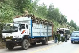 Hiện trường vụ tai nạn. (Nguồn: truyenhinhthanhhoa.vn)