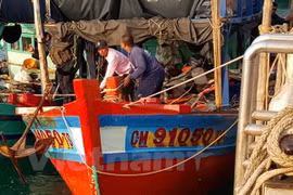 Cảnh sát Thái Lan bắt giữ một tàu cá Việt Nam hồi tháng Tư vừa qua. (Ảnh: Vietnam+)