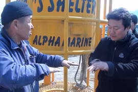 LHP Busan bị cắt tài trợ vì chiếu phim về vụ chìm phà SEWOL