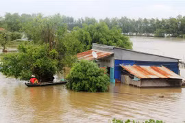 Khu vực ven sông Vàm Cỏ Đông, thuộc xã Thanh Điền, huyện Châu Thành, tỉnh Tây Ninh bị ngập lụt do mưa lớn, nước sông dân cao. (Ảnh: Lê Đức Hoảnh/TTXVN)
