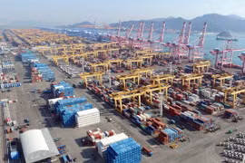 Cảng hàng hóa của tập đoàn vận tải Hanjin ở thành phố Busan, Hàn Quốc ngày 3/2. (Nguồn: AFP/TTXVN)