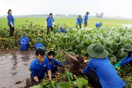 (Ảnh minh họa: Phạm Kiên/TTXVN)