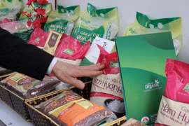 Kim ngạch xuất khẩu toàn ngành nông nghiệp đạt 40,02 tỷ USD, năm 2018. (Ảnh minh họa. Nguồn: PV/Vietnam+)