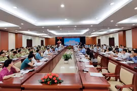 Tình hình vận chuyển trái phép đường cát đường qua biên giới vẫn diễn ra theo chiều hướng phức tạp và có xu hướng tăng. (Ảnh: PV/Vietnam+)