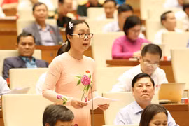 Đại biểu Quốc hội tỉnh Vĩnh Long Nguyễn Thị Quyên Thanh phát biểu. (Ảnh: Phương Hoa/TTXVN)