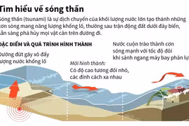Tác nhân dẫn đến sóng thần và những dấu hiệu cảnh báo.