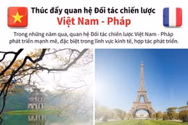 Thúc đẩy quan hệ Đối tác chiến lược Việt Nam-Pháp.