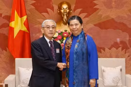 Phó Chủ tịch Thường trực Quốc hội Tòng Thị Phóng tiếp đoàn Chủ tịch Hội cựu nghị sỹ Đảng Dân chủ tự do Nhật Bản do Ngài Saito Toshitsugu, làm trưởng đoàn sang thăm Việt Nam. (Ảnh: Doãn Tấn/TTXVN)