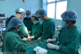 Ảnh minh họa. (Nguồn: TTXVN)