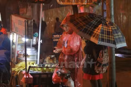 Ảnh minh họa. (Nguồn: Vietnam+)