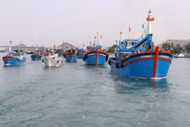 Đội tàu cá của tỉnh Ninh Thuận vươn khơi khai thác hải sản. (Ảnh minh họa: Nguyễn Thành/TTXVN)