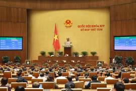 Kỳ họp thứ 8, Quốc hội khóa XIV bế mạc vào chiều nay. (Ảnh: Doãn Tấn/TTXVN)