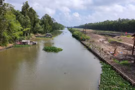 Khu đất tại Điểm du lịch rừng tràm Trà Sư được san lấp để làm đường đua bò.(Nguồn: Plo)