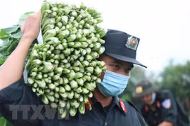 Ảnh minh họa (Nguồn:TTXVN)