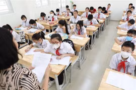 Ảnh minh họa. (Nguồn: TTXVN) 