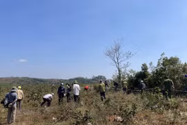 Đắk Nông cưỡng chế thu hồi đất tại cụm công nghiệp Quảng Tâm