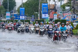 Triều cường ở Cần Thơ dự báo vượt báo động 3 vào cuối tuần này