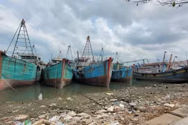 Bà Rịa-Vũng Tàu: Tàu cá bị cháy trên biển, 13 ngư dân được đưa vào bờ