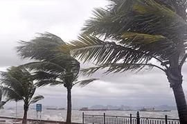 Trung tâm Bão Quốc gia Mỹ (NHC) cho biết cơn bão nhiệt đới Ian đã mạnh lên thành bão cấp 1 khi tiến sát miền Đông Cuba. (Nguồn: AP)
