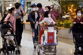 Du khách Trung Quốc hoan nghênh việc nối lại du lịch đến Việt Nam