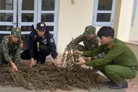 Lực lượng chức năng kiểm tra số tang vật vừa thu giữ.( Ảnh: Công Mạo-TTXVN)