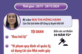 Vụ án Xuyên Việt Oil: Mai Thị Hồng Hạnh bị tuyên án 30 năm tù giam 