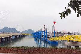 Các tàu du lịch tạm dừng hoạt động tại Cảng tàu du lịch quốc tế Hòn Gai do dịch COVID-19 (Ảnh: Văn Đức - TTXVN) 