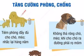 [Infographics] Tăng cường các biện pháp phòng, chống bệnh dại