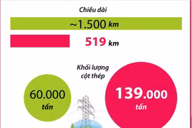 Dự án đường dây 500kV mạch 3 Quảng Trạch- Phố Nối về đích với tiến độ thần tốc 