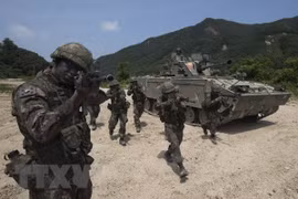 Ảnh minh họa (Nguồn: AFP/TTXVN)