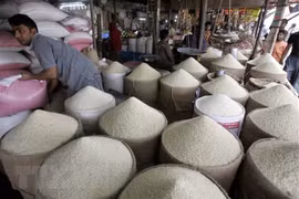 Thị trường nông sản thế giới: Giá gạo ở các vựa lúa gạo tiếp tục giảm