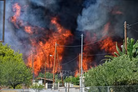 Hiện trường đám cháy rừng ở Irini, phía Đông thủ đô Athens, Hy Lạp. (Ảnh: AFP/TTXVN)