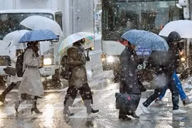 Tuyết rơi dày đặc tại Tokyo, Nhật Bản (Nguồn: Kyodo/TTXVN) 