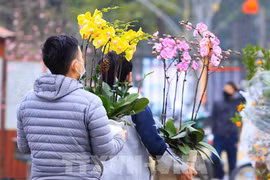 Lượng khách đến chợ hoa năm nay giảm hẳn do dịch COVID-19. (Ảnh: Thùy Dung - TTXVN) 