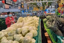 Ảnh minh họa. (Nguồn: Nguyễn Văn Trí/TTXVN)