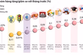 Chỉ số Giá tiêu dùng tháng 11/2023 tăng 0,25% so với tháng trước 