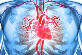 Ảnh minh họa. (Nguồn: hopkinsmedicine.org)