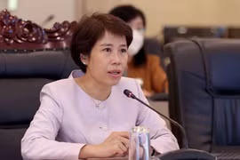 Thứ trưởng Bộ Kế hoạch và Đầu tư Nguyễn Thị Bích Ngọc.(Nguồn: TTXVN)