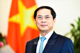 Bộ trưởng Bộ Ngoại giao Bùi Thanh Sơn. (Ảnh: TTXVN)
